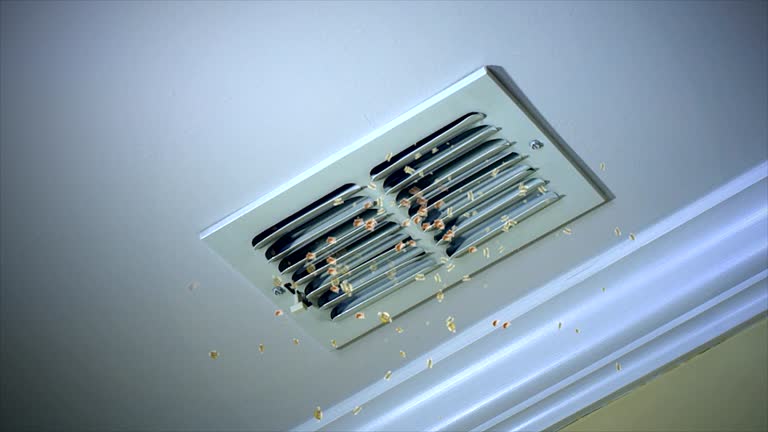 Best Air Duct Cleaning Near Me  in Wade Hampton, SC