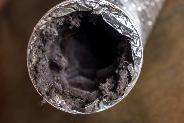 Best Commercial HVAC Duct Cleaning  in Wade Hampton, SC