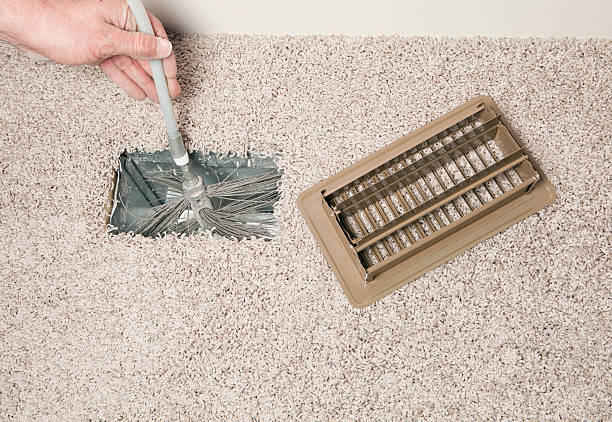 Best Air Duct Mold Removal  in Wade Hampton, SC